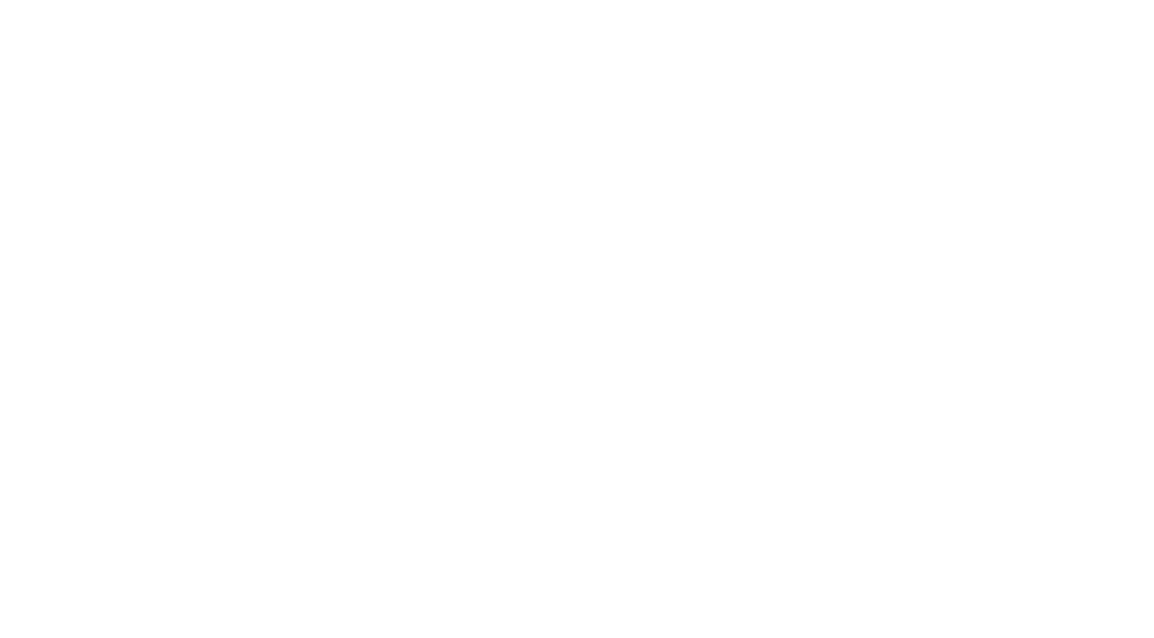 logo of SOLAS